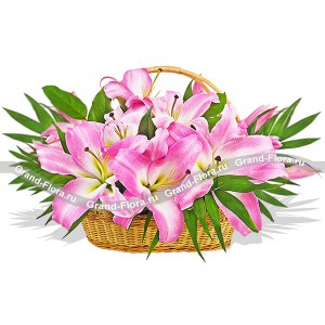 Эффектная цветочная корзина из нежных розовых лилий