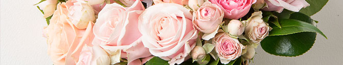 Лучшие свежие букеты в Анапе - от Гранд Флора